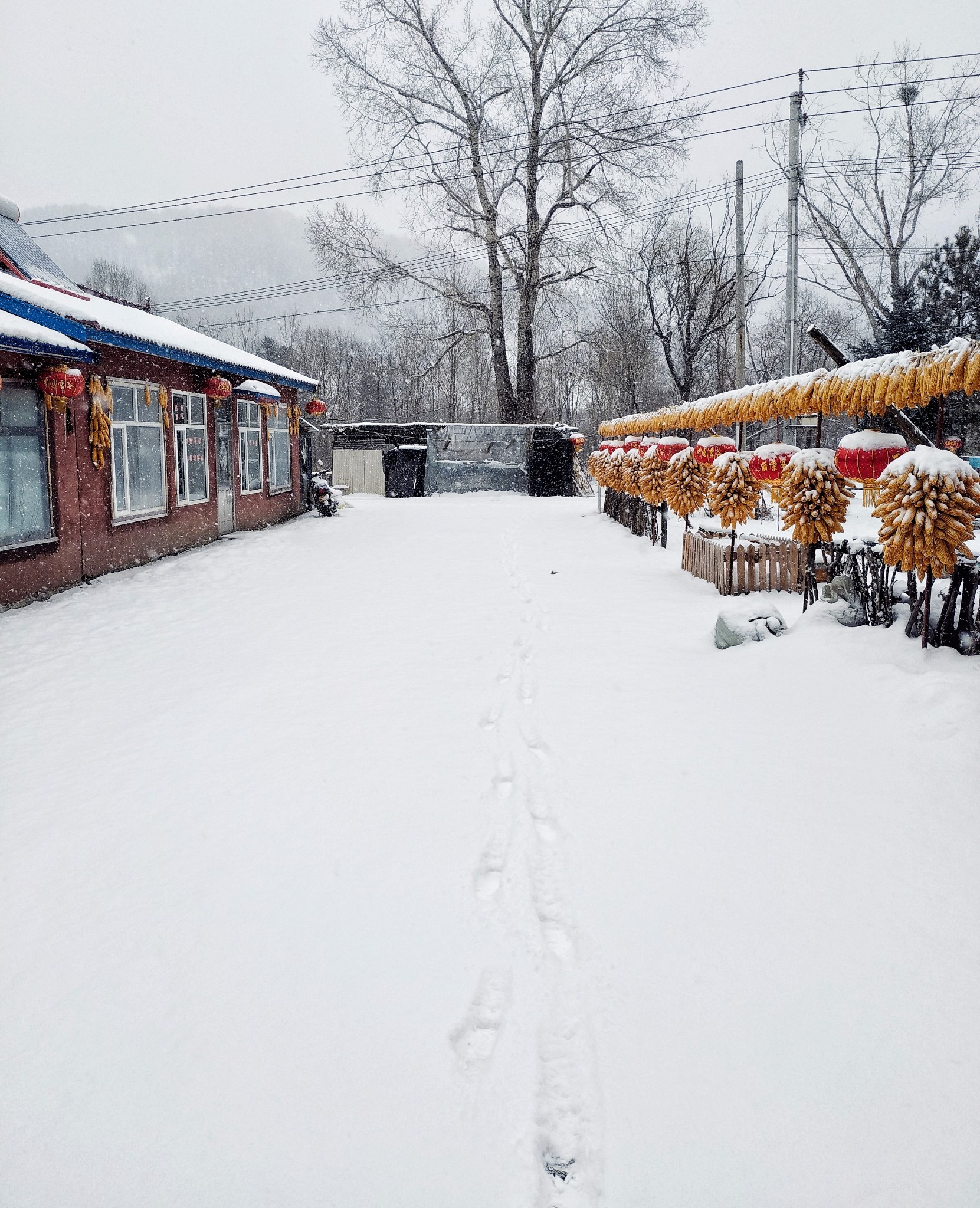 1.28下雪天,滑雪
