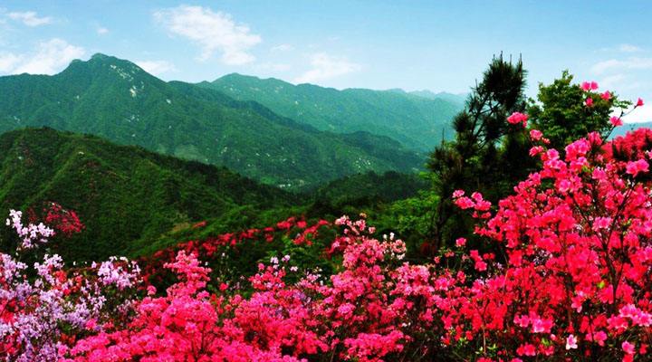 英山县天马寨风景区门票