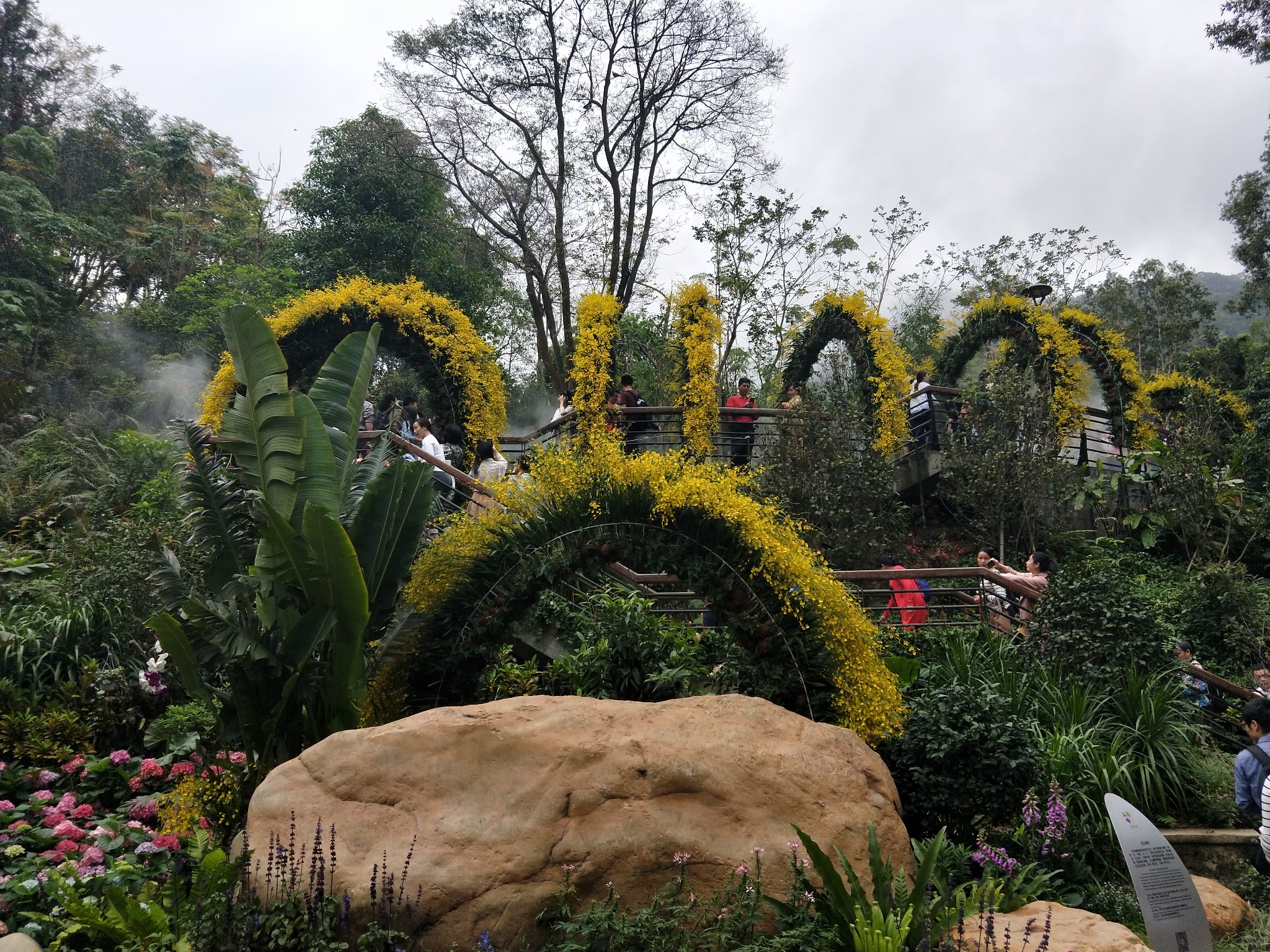 【生活在深圳】——仙湖植物园