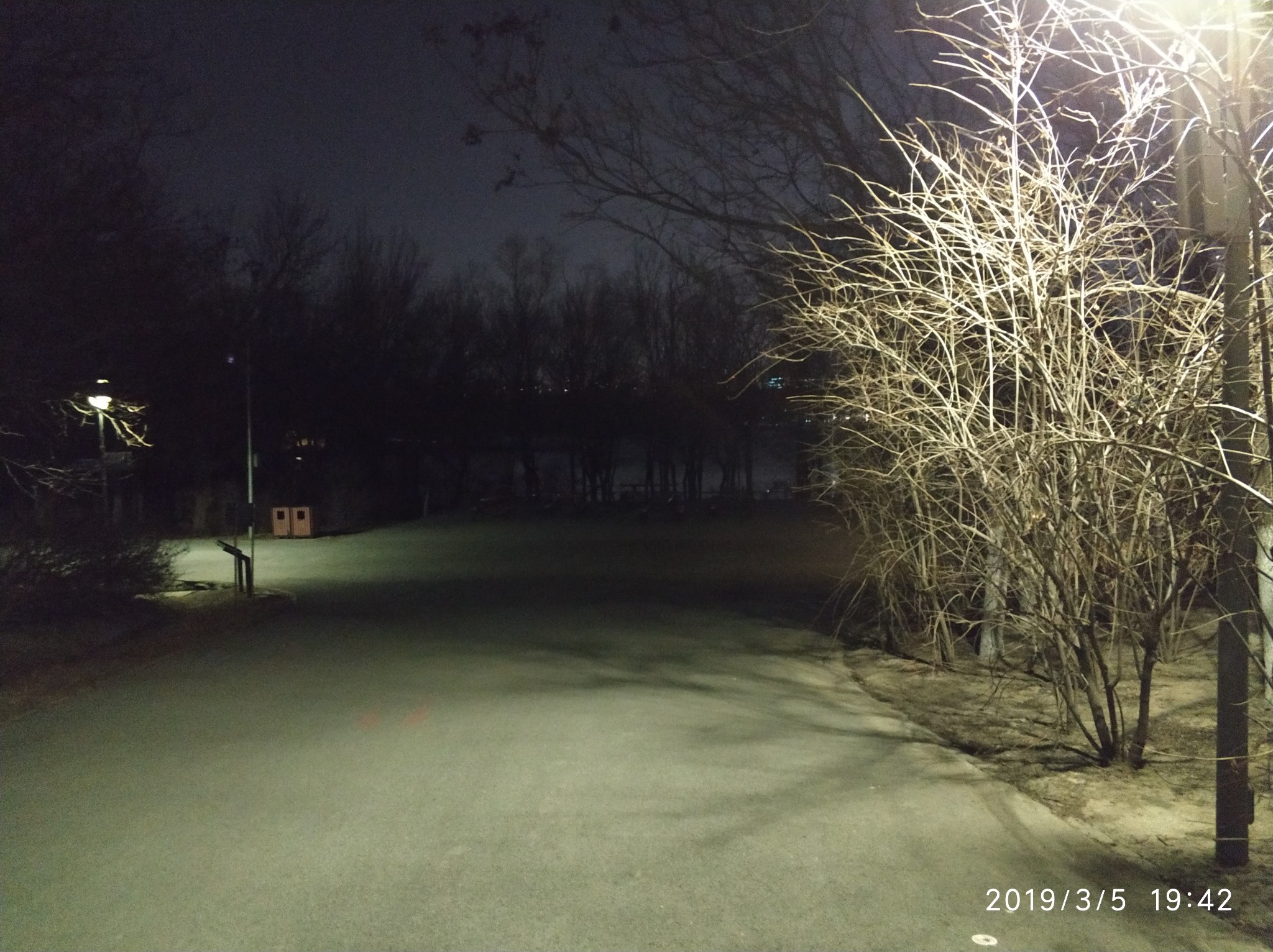 20190305周二晴大风奥森夜练——不一样的风景 不一样