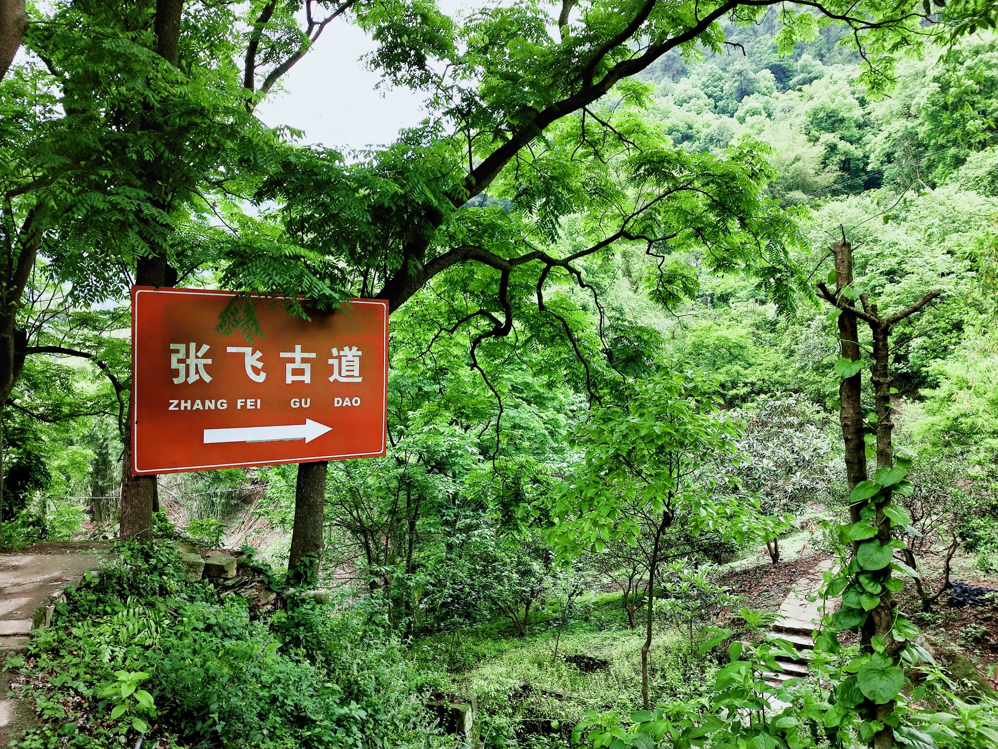 山城之魅——张飞古道及缙云山步道