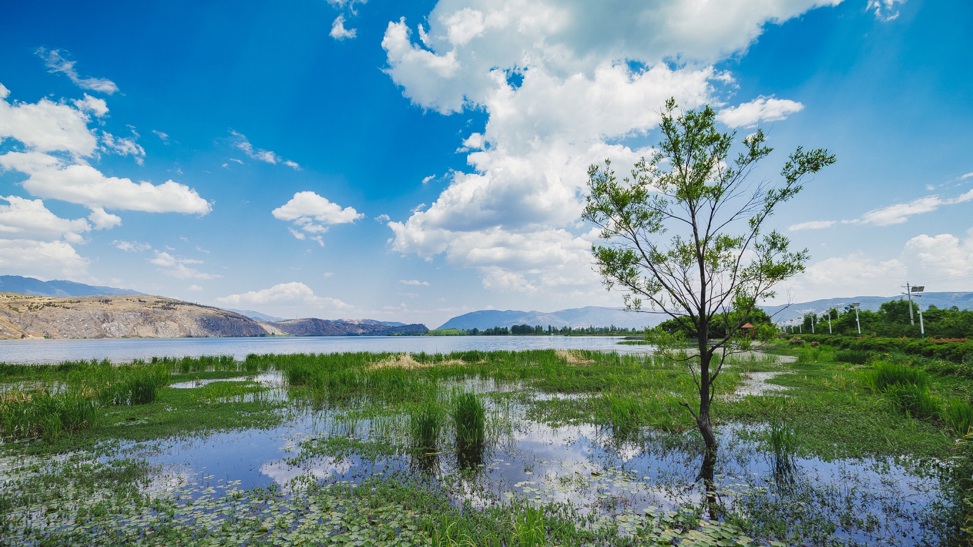 洱源旅游图片,洱源自助游图片,洱源旅游景点照片 - 马