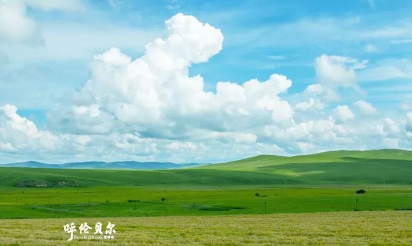 醉美草原简谱_醉在草原爱一回简谱(3)