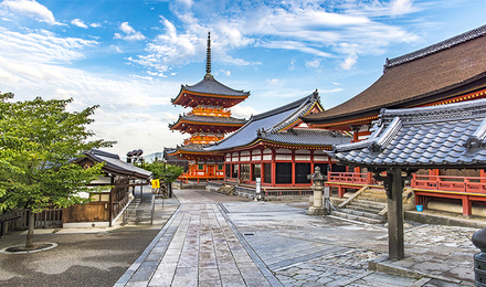 日本京都金阁寺 银阁寺 清水寺半日游(体验地道日式服务 搭载中文解说