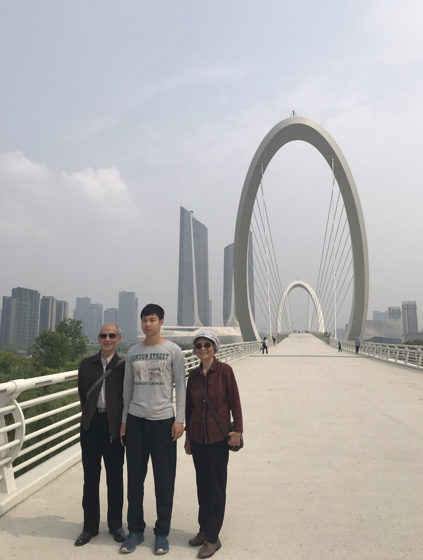 南京眼步行桥及青奥森林公园