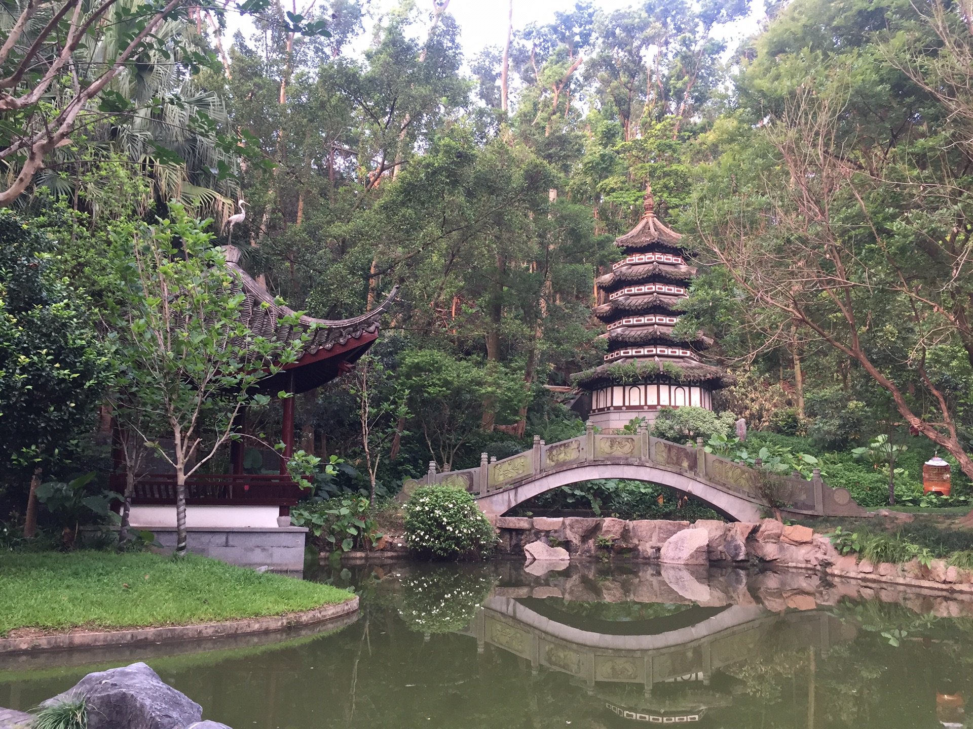 晨跑@深圳湾公园&园博园