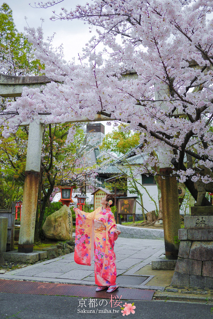 【2019京都赏樱攻略】京都樱花满开景点 日本赏樱穿搭