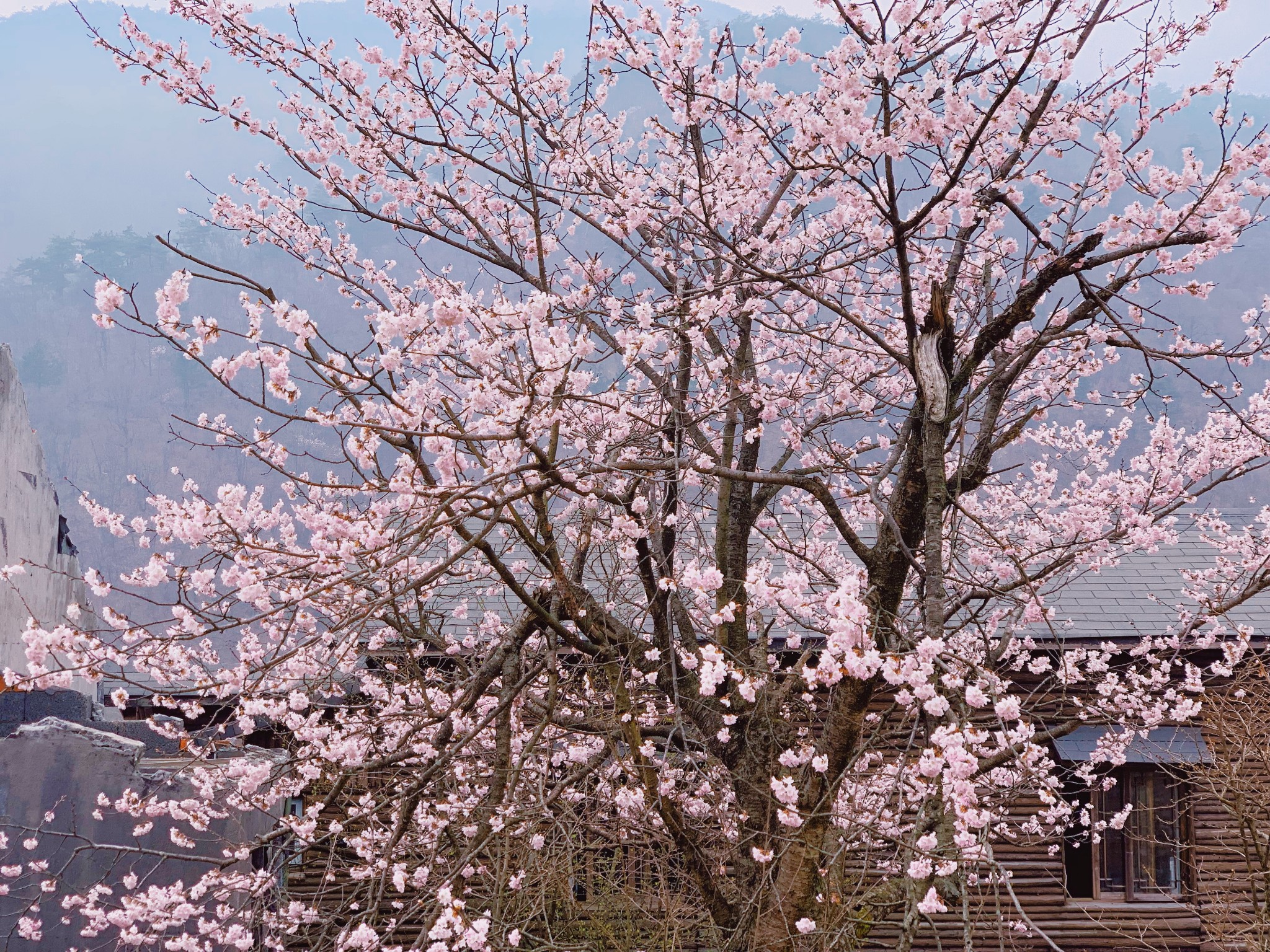 wKgEaVy_LN2AA5j_ABbJTimFCUg10.jpeg?imageView2%2F2%2Fw%2F680%2Fq%2F90%7CimageMogr2%2Fstrip%2Fquality%2F90