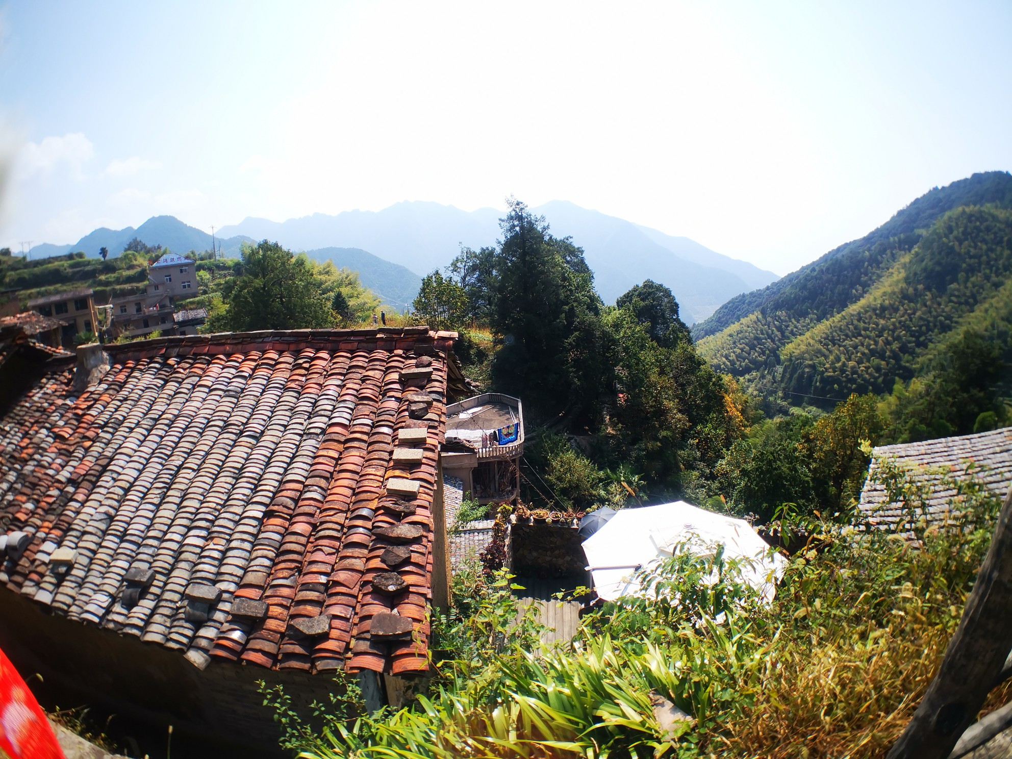 陈家铺村          