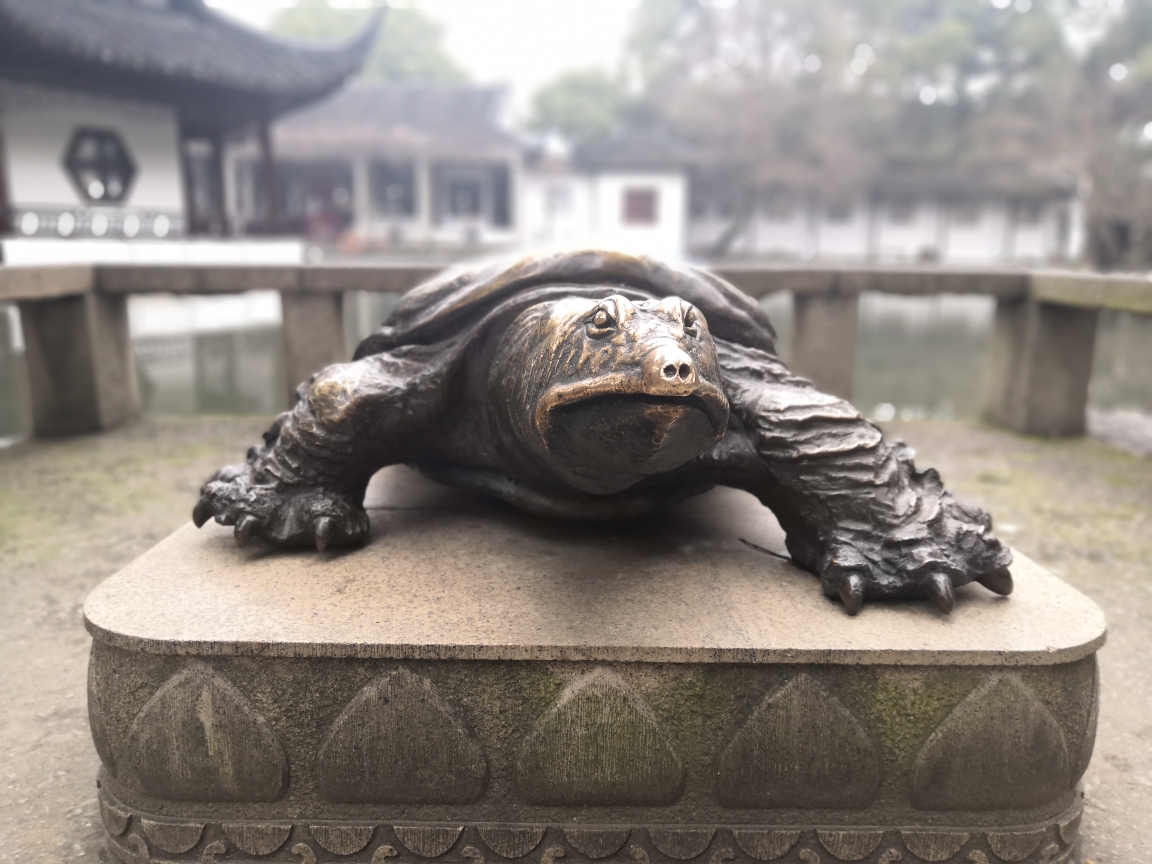 苏州小记(虎丘—西园寺)