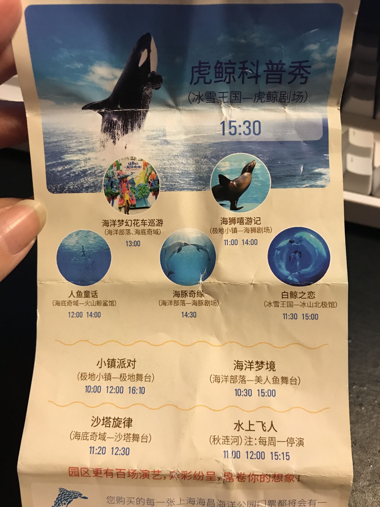 【r兔酱】上海海昌极地海洋公园 — 白鲸,虎鲸,海豚,海狮,北极熊等