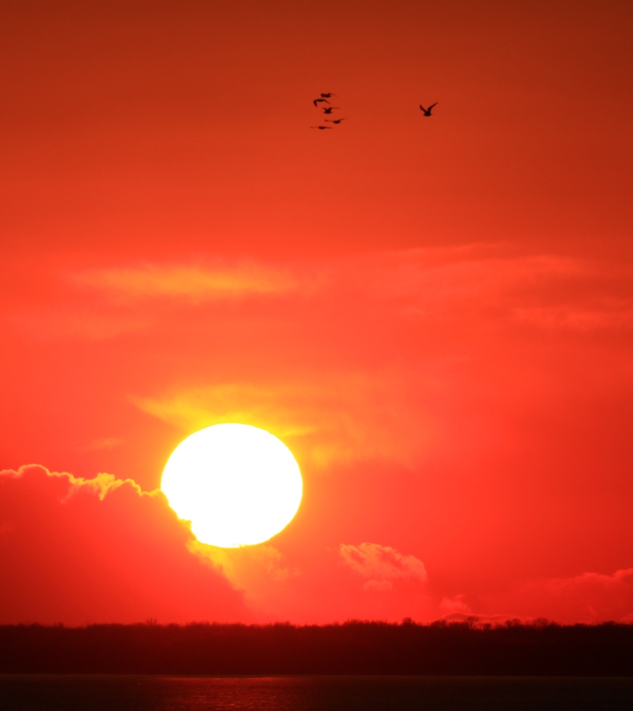 华夏东极抚远4月24日的夕阳与鸿雁之约