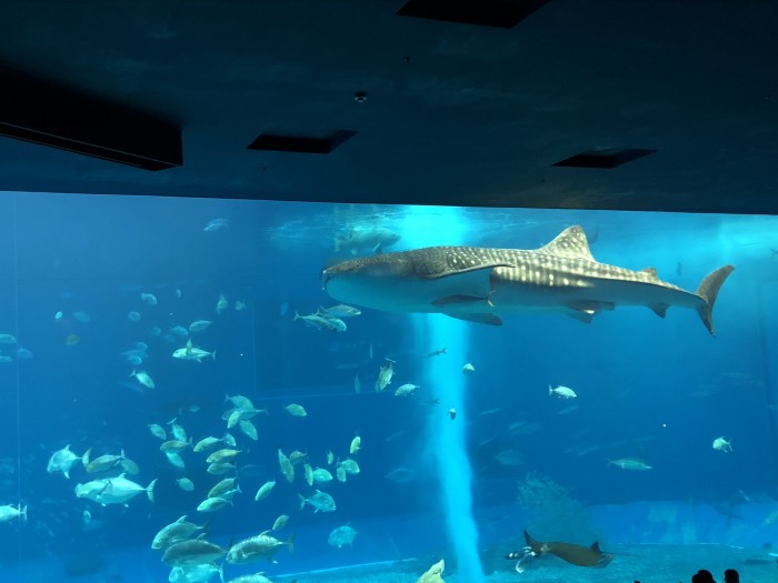 几月份去日本冲绳比较好