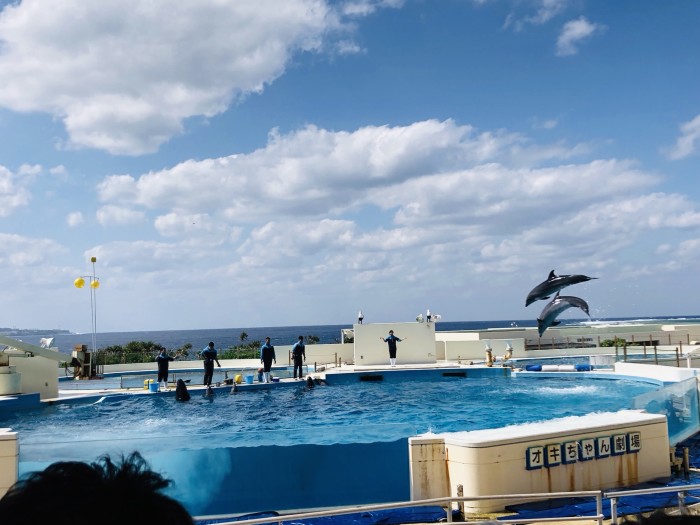 几月份去日本冲绳比较好