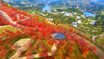 南湖多彩植物园电子票/南湖多彩植物园欢迎您(下单1小时后方可使用/未