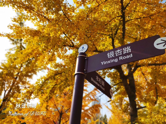 大连什么时候去最好