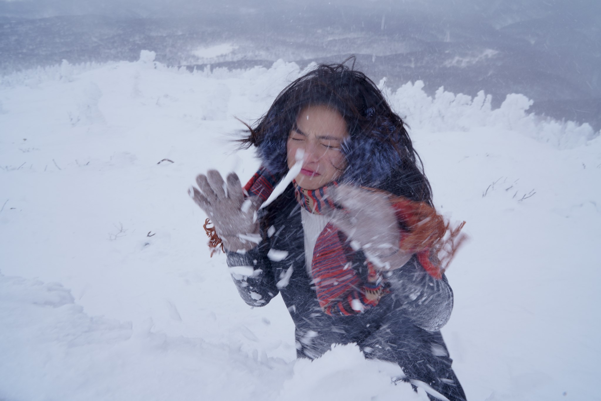 八甲田山