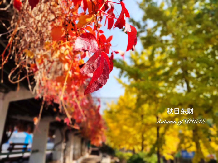 大连什么时候去最好