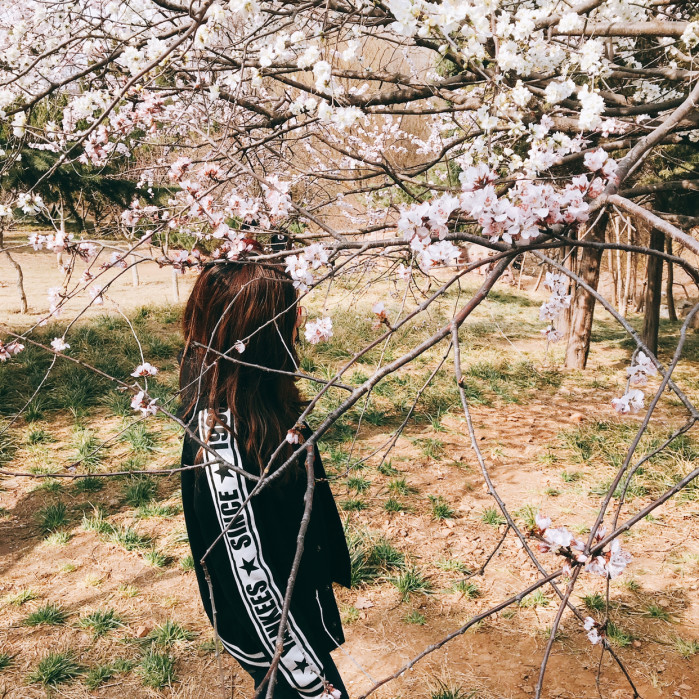 大连什么时候去最好