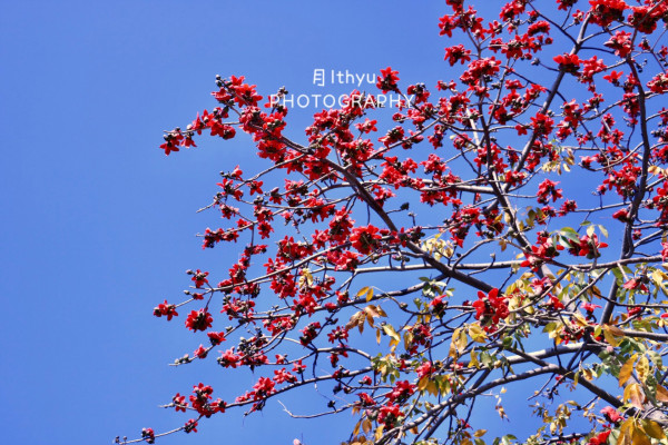 木棉花的春天全集观看第三集 wKgEaVx-PSqACBabAA3PWnsZD-472.jpeg?imageView2%2F2%2Fw%2F600%2Fh%2F600%2Fq%2F90