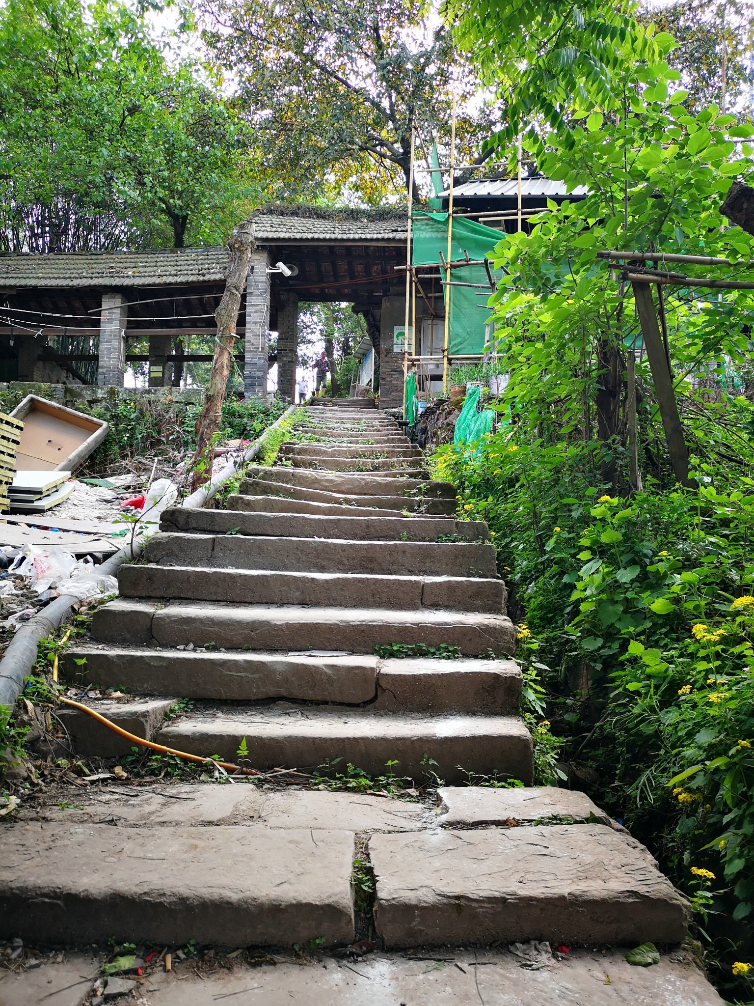 又见南山——清水溪步道