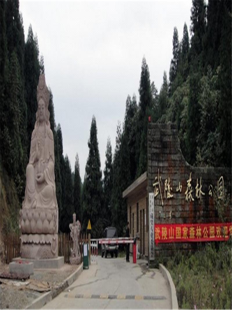 2人票涪陵武陵山森林公园门票2张景区内酒店1晚含双早餐