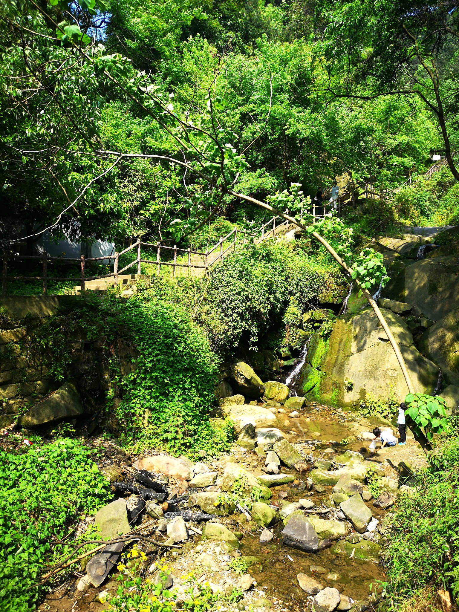 又见南山——清水溪步道