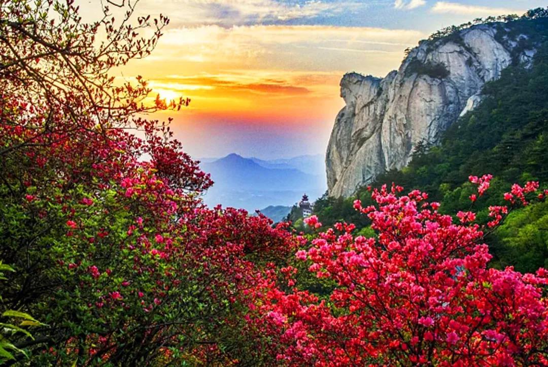 安徽 自由行攻略 2019年麻城杜鹃花节将在龟峰山风景区开幕.