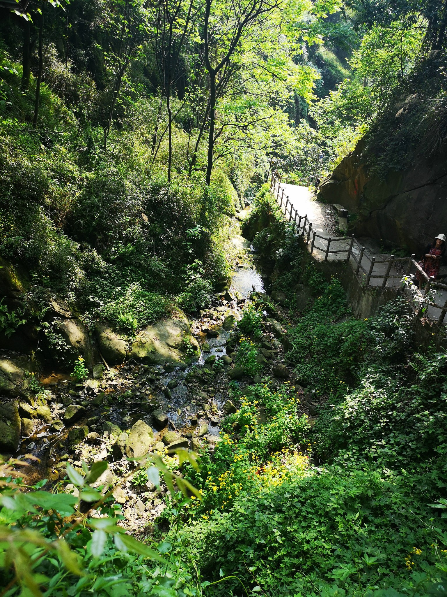 又见南山——清水溪步道