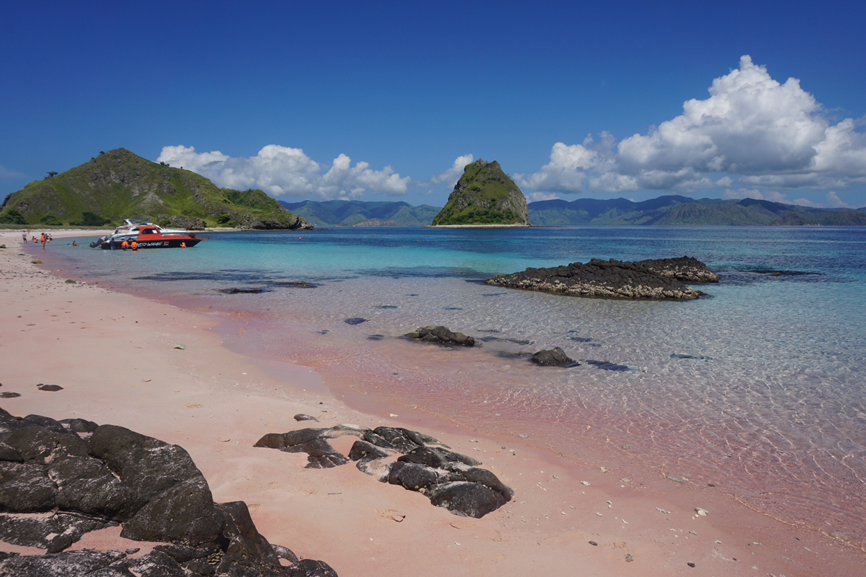 科莫多岛浪漫的粉红海滩 - Indonesia Travel