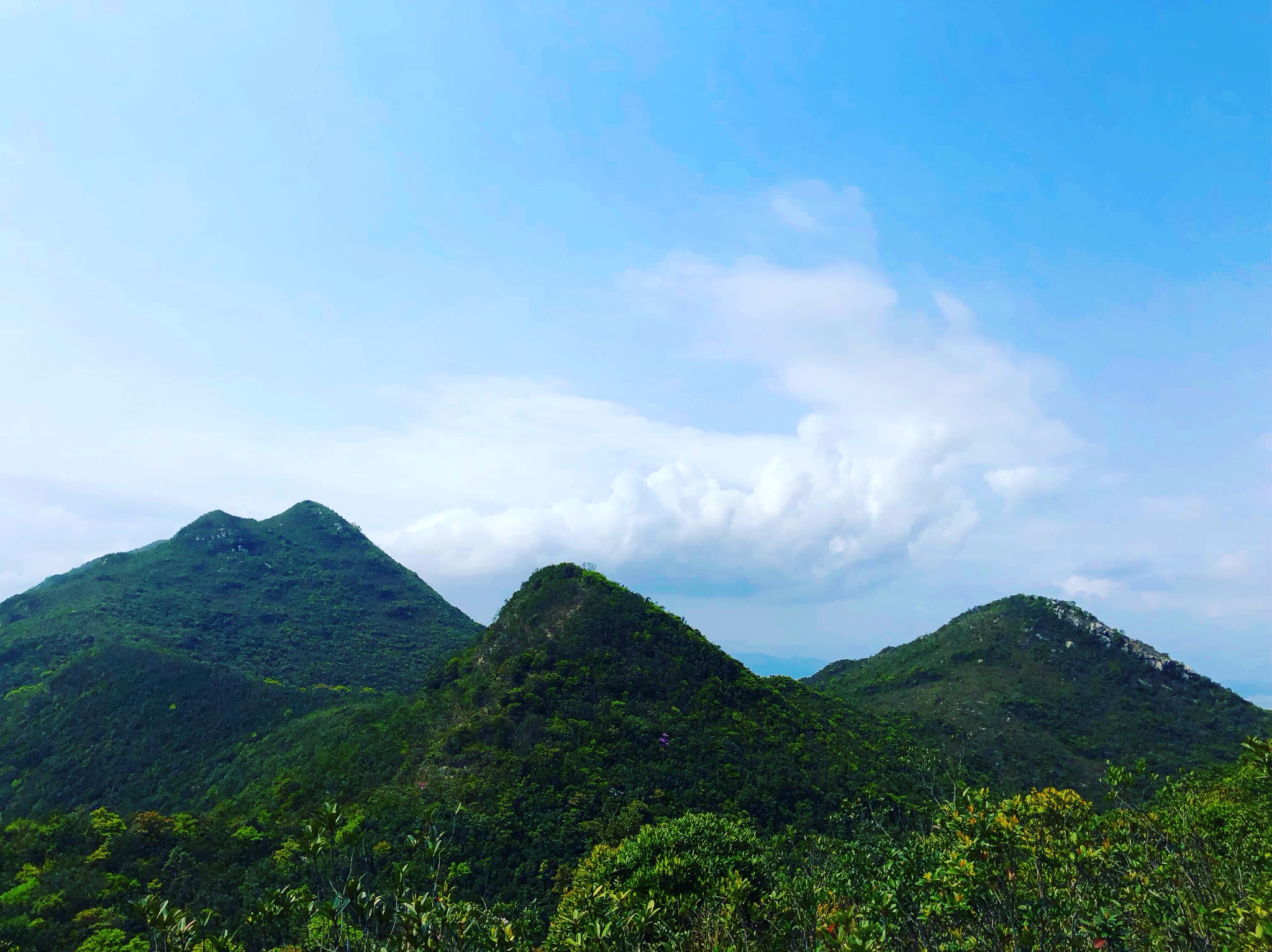 深圳·田心山 - 无人的崇山峻岭!