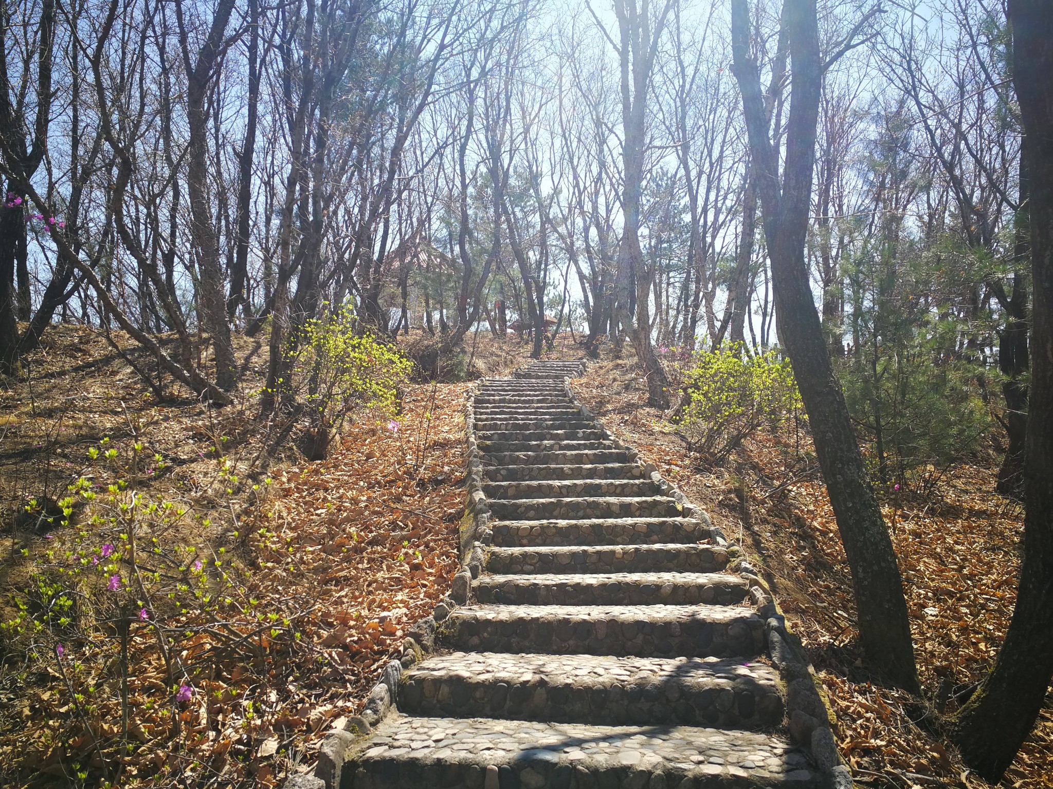 魅力延边之龙井琵岩山