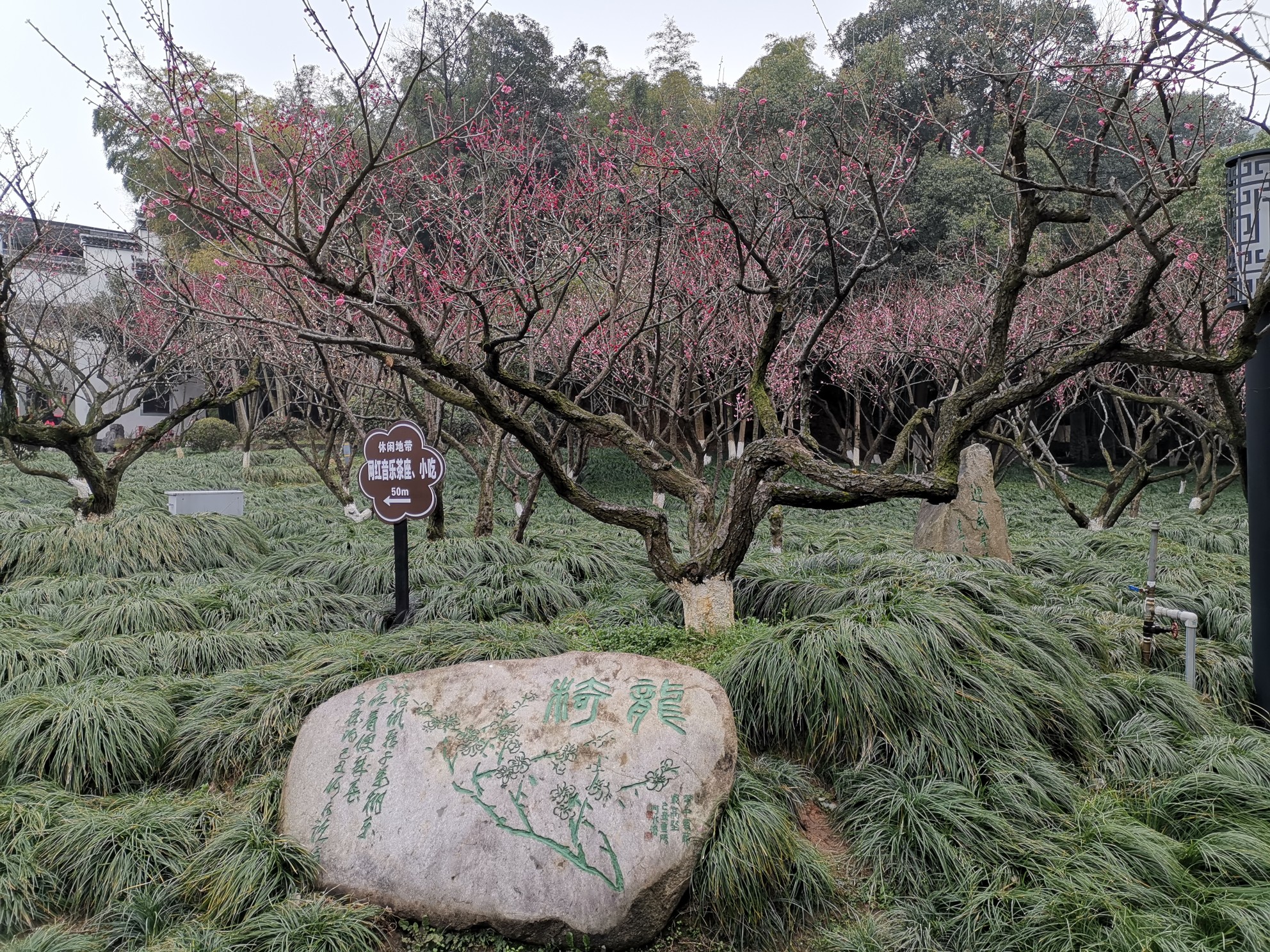 杭州超山梅园