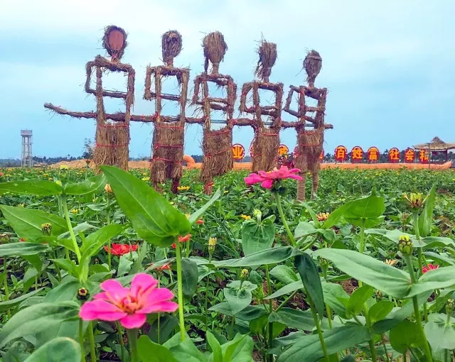 琼海赏花 龙寿洋万亩田野公园 琼海龙寿洋水上乐园 网