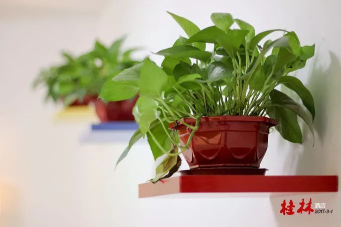 桂林阳朔山水甲天下4日游桂林旅游攻略桂林旅游攻略