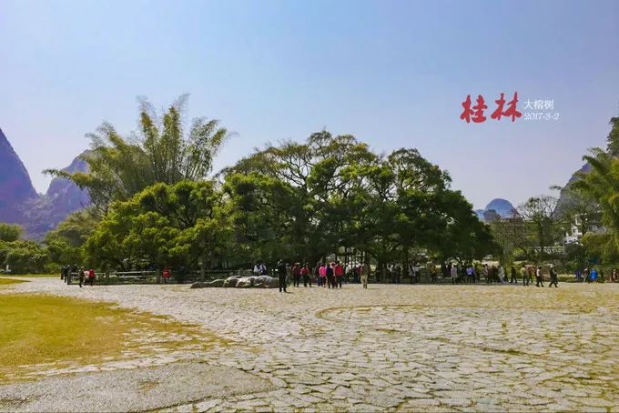 桂林阳朔山水甲天下4日游桂林旅游攻略桂林旅游攻略