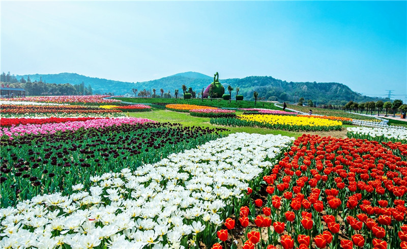 合肥花千谷主题乐园风景区门票 花千谷主题乐园门票(随买随用 随时可