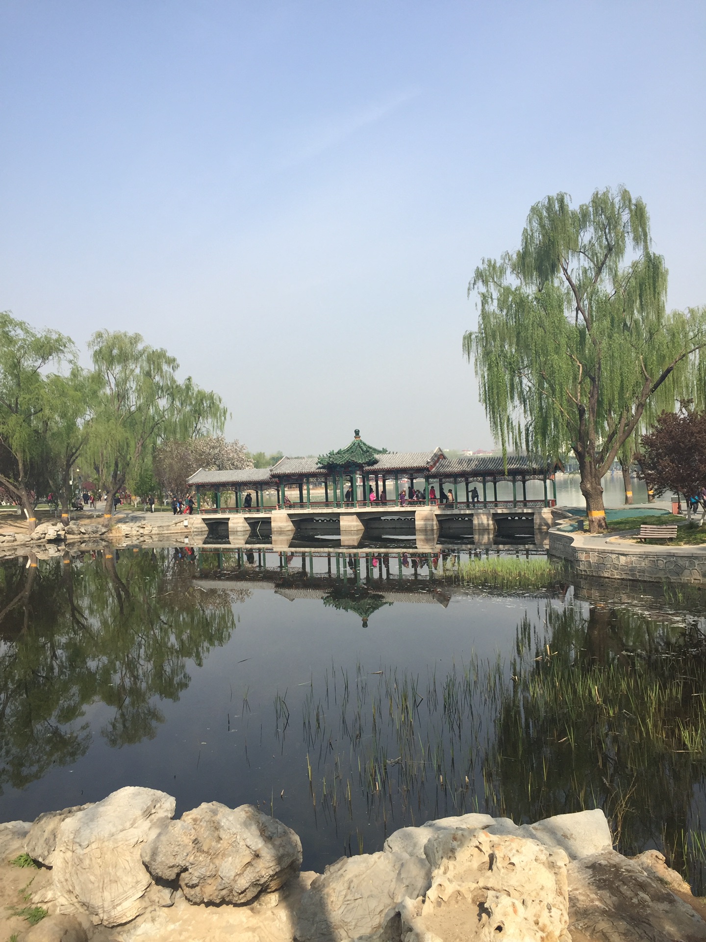 带大家走一走我家旁边的龙潭湖公园!