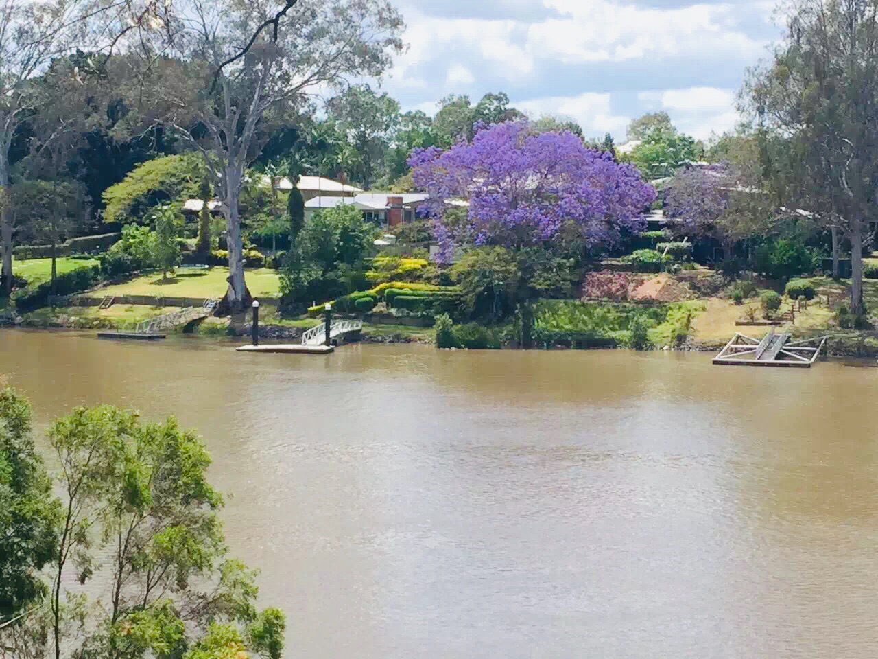 布里斯班河和城市植物园