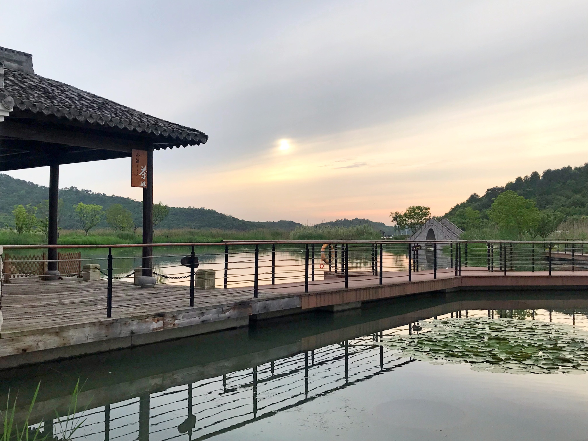 东钱湖下水湿地公园      