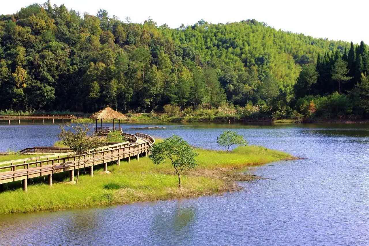 杭州千岛湖龙川湾景区门票 国家湿地公园一日电子票