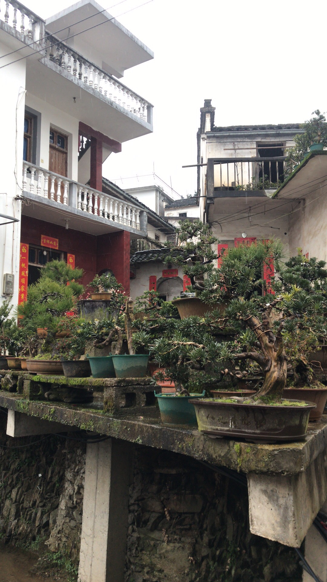 卖花渔村          