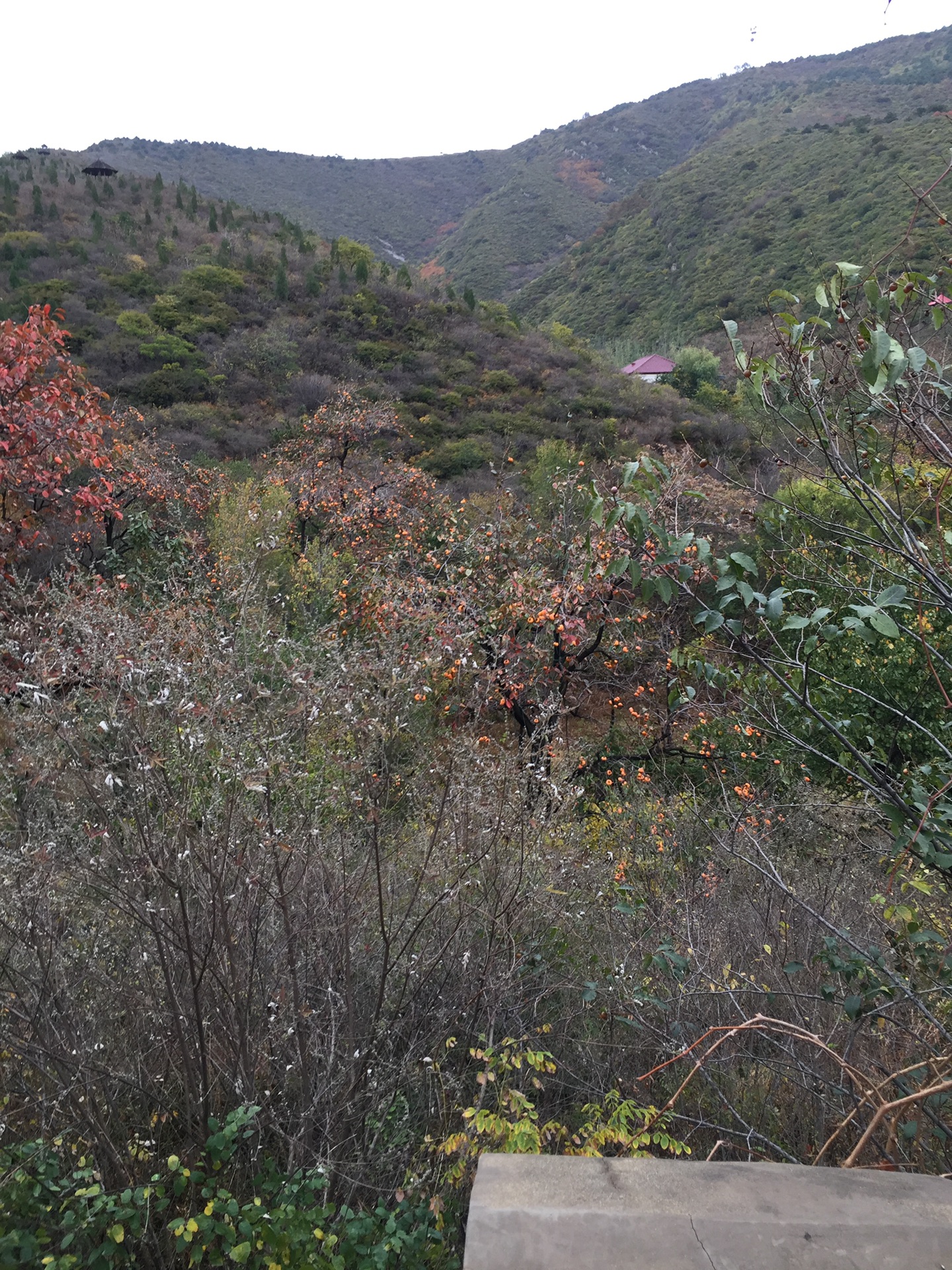 自驾 天津蓟县景区 第三站 黑峪神秘谷