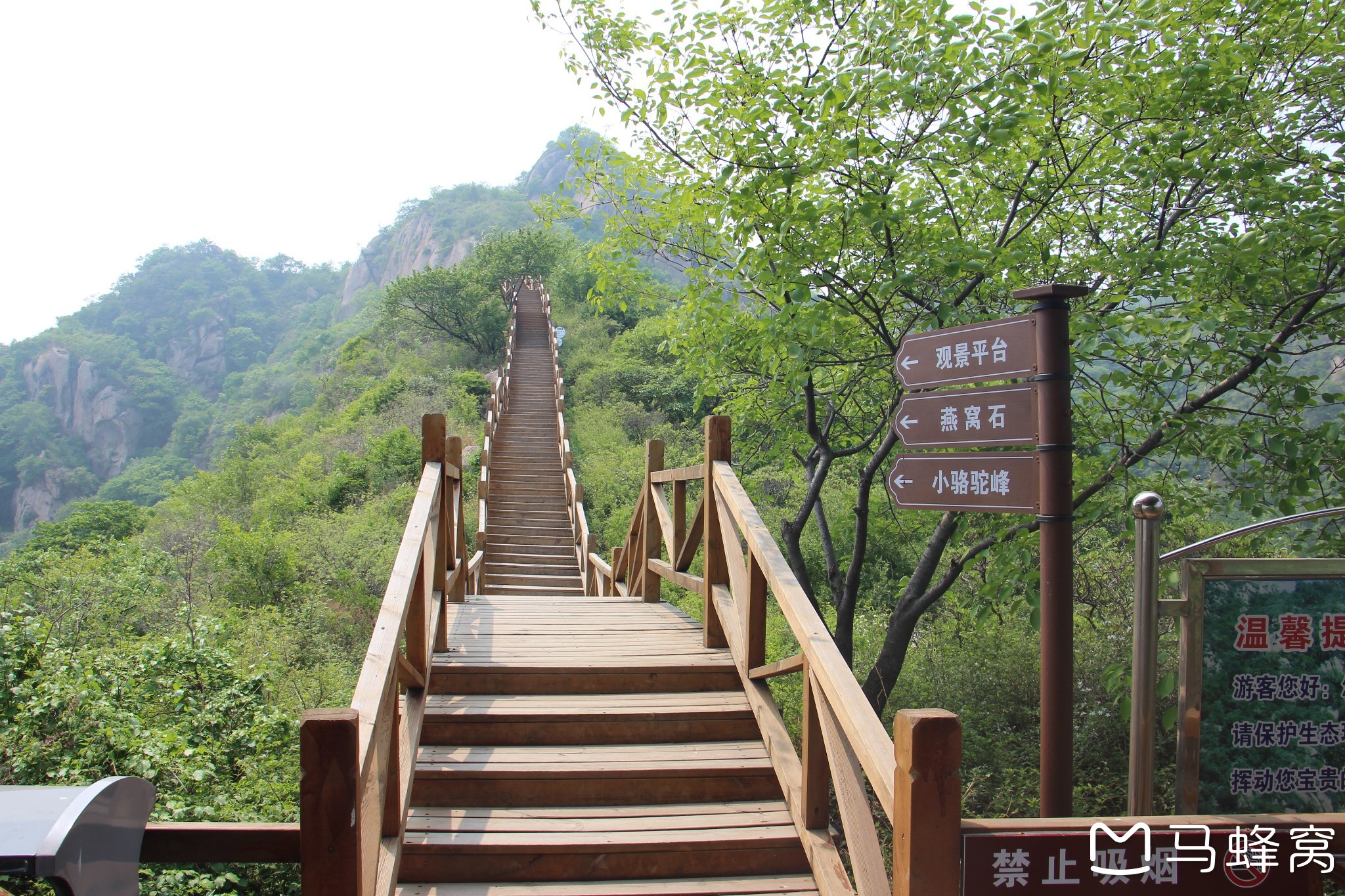 带娃爬山之旅19:大岭沟猕猴桃谷风景区里的木栈道