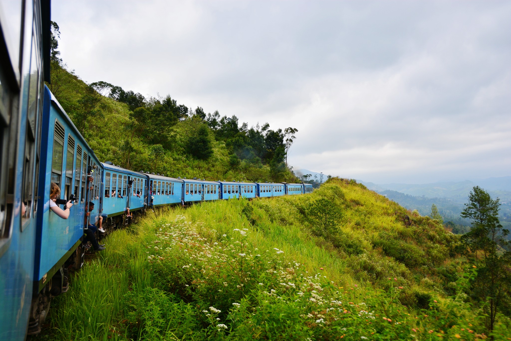 高山茶园火车