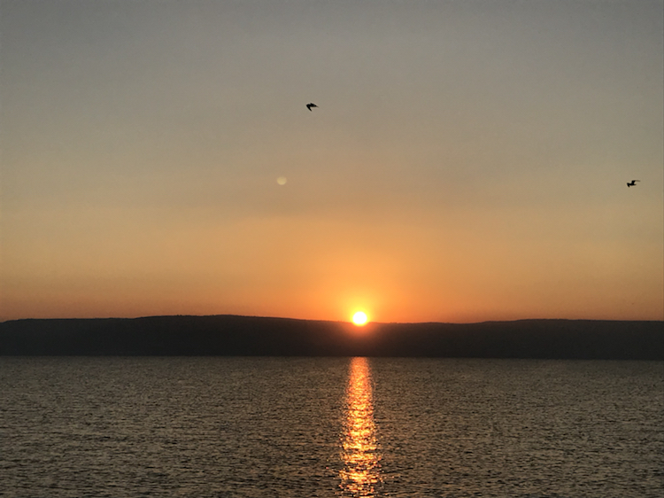 六月份以色列天气怎么样