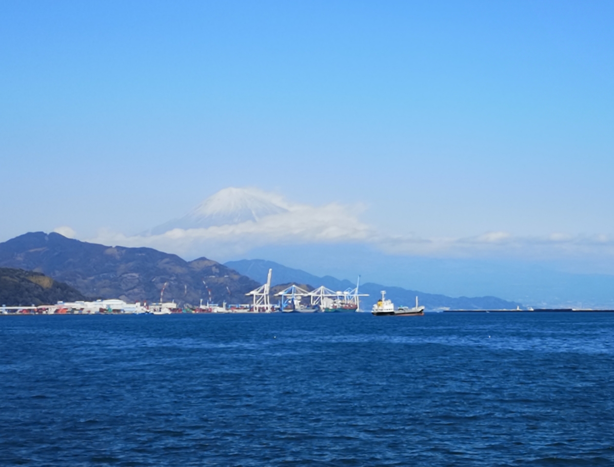 一个匆忙的早春～名古屋-静冈-热海-河津,观山看海的赏梅阅之旅