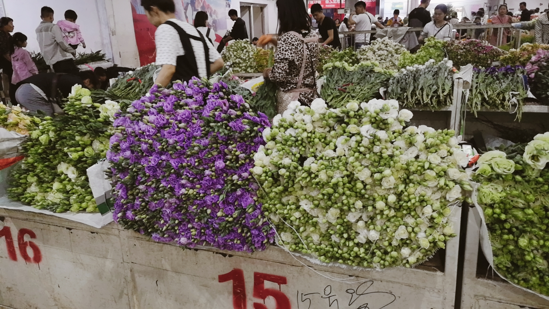 来昆明一定不要错过斗南花市买买买