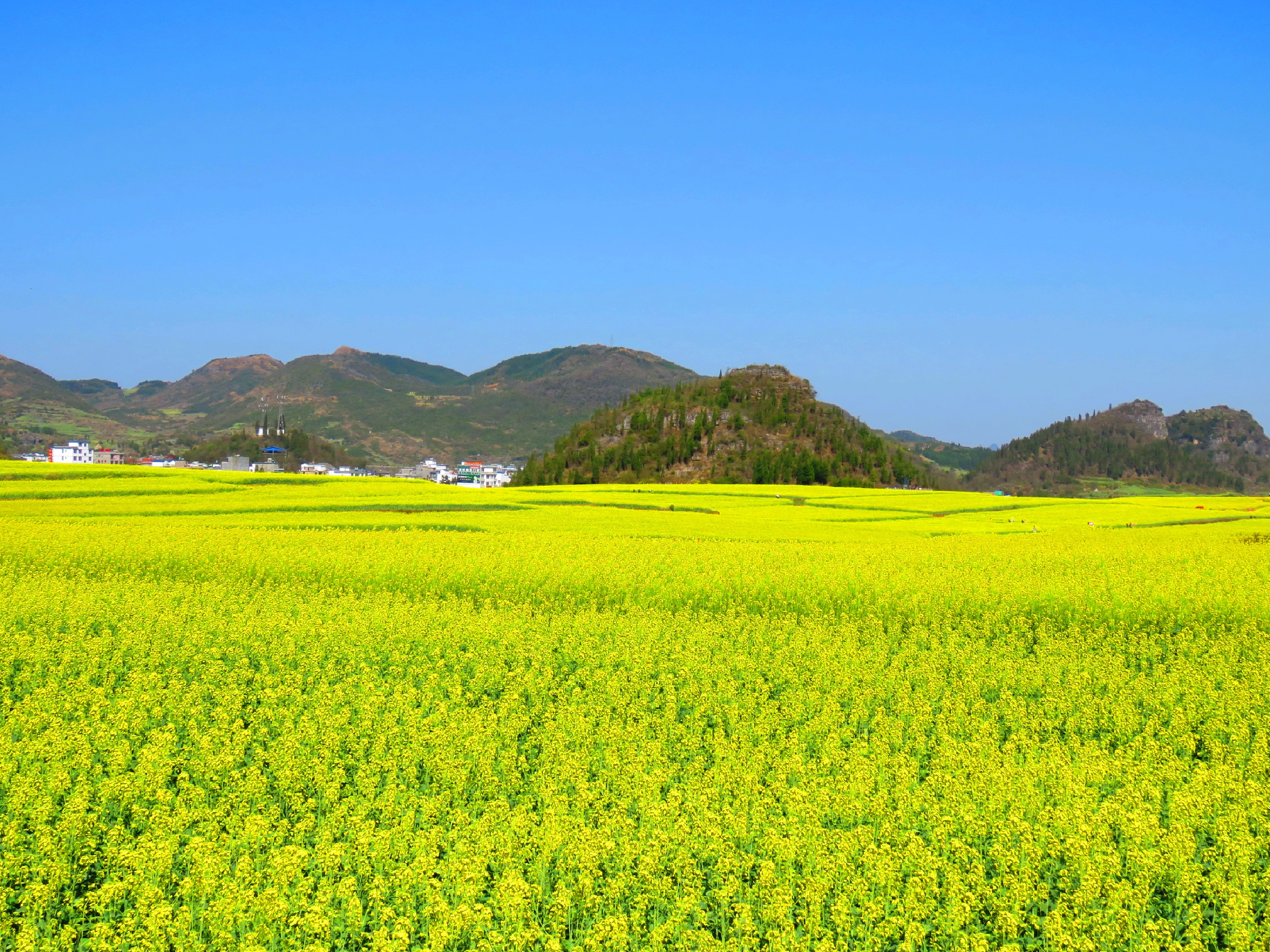 西塘到罗平旅游