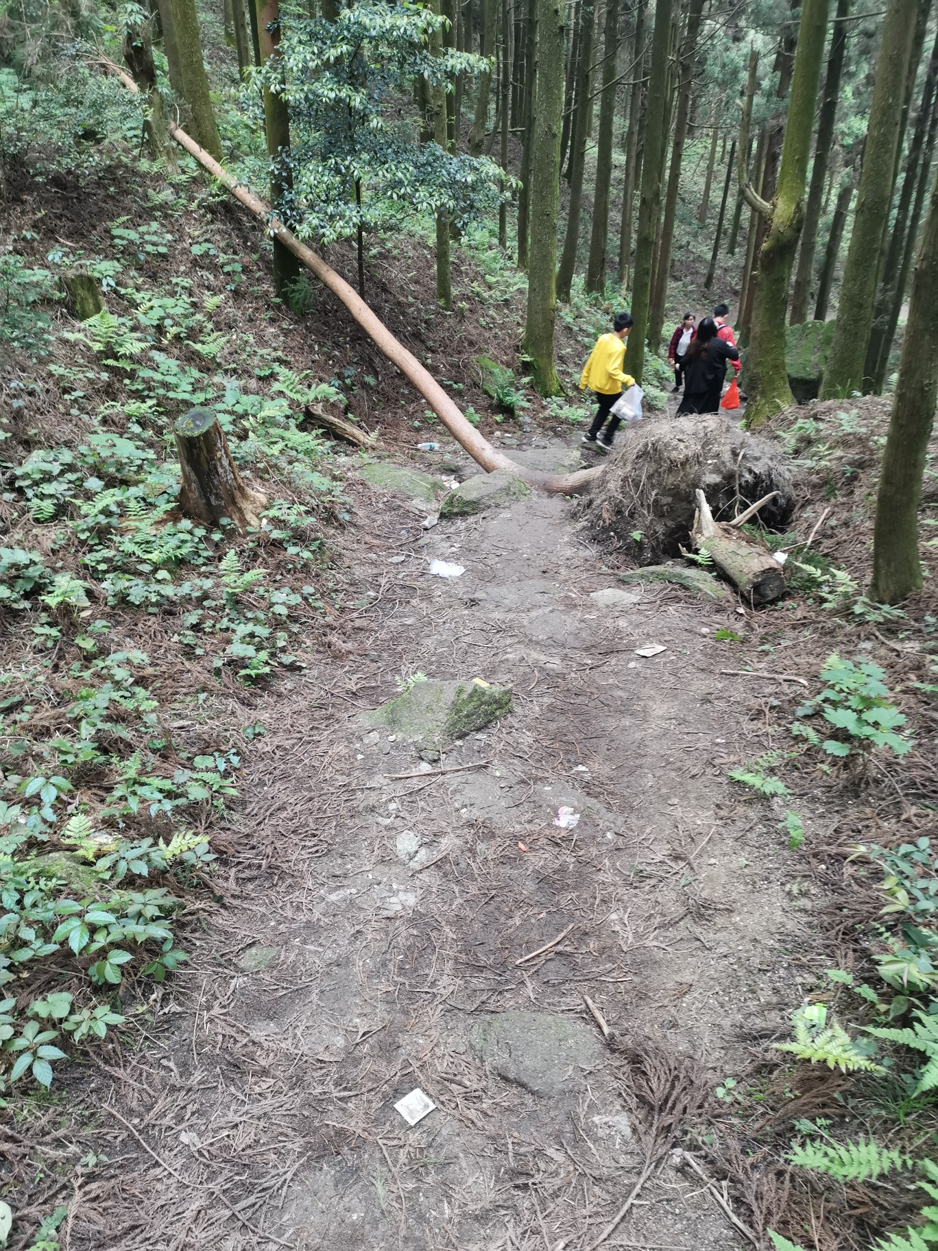 衡山多少人口_南岳衡山(2)